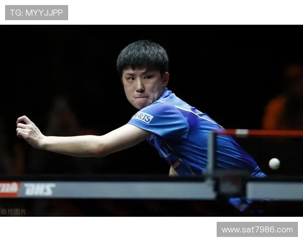 西安乒乓球队的节奏揭秘与训练背后的故事与精神探索