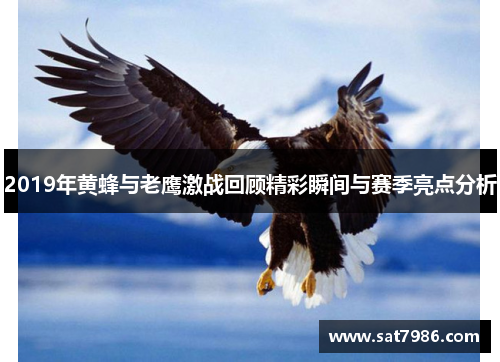 2019年黄蜂与老鹰激战回顾精彩瞬间与赛季亮点分析